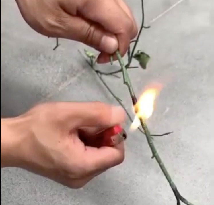 Close-up of Xing Hui fire-retardant artificial leaf undergoing SGS vertical burn test.