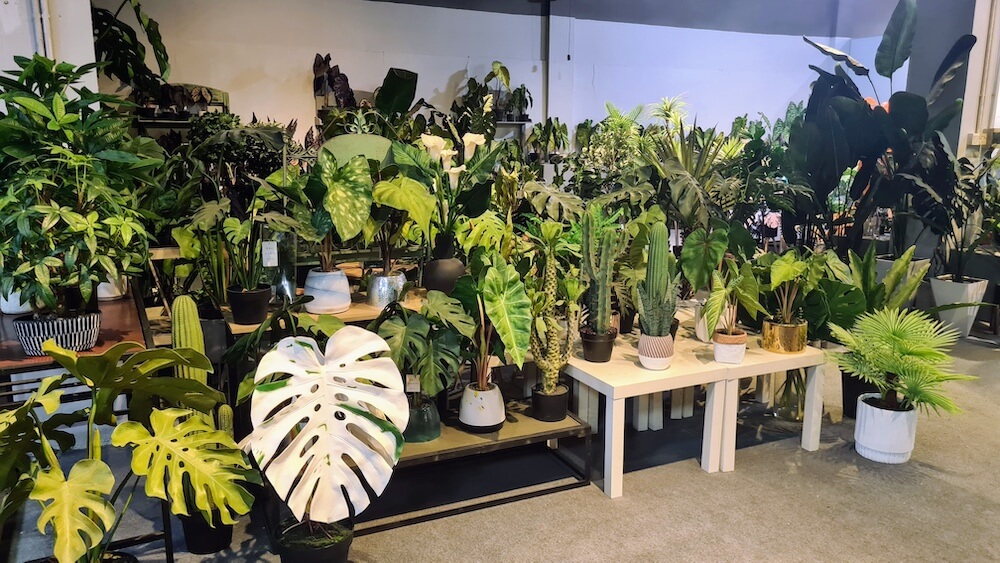 The "Fan Test" and Leaf Flexibility: Why Texture is the Ultimate Test of Quality