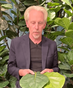 Can you spot which one is real? Our lead designer puts it to the test