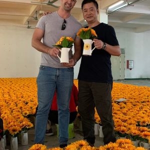 artificial flowers China Manufacturing 7