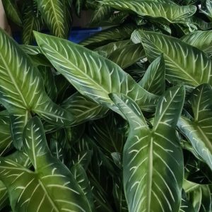 artificial flowers manufacturer China leaves (1) (1) artificial flowers manufacturer China lily (1)