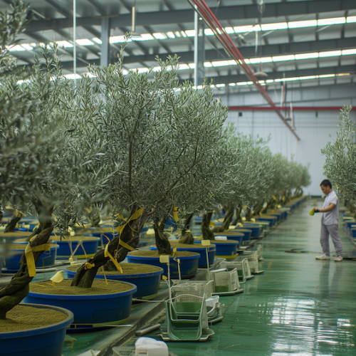 china manufacturing Plants, Trees and Flowers 0 china manufacturing Plants, Trees and Flowers 0